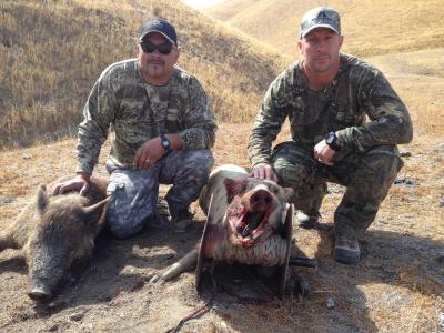 Pig success